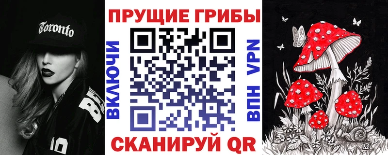 Псилоцибиновые грибы ЛСД  сколько стоит  omg tor  Усть-Лабинск 